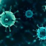 Што знаеме за нова варијанта на SARS-CoV-2 вирусот – Omicron?