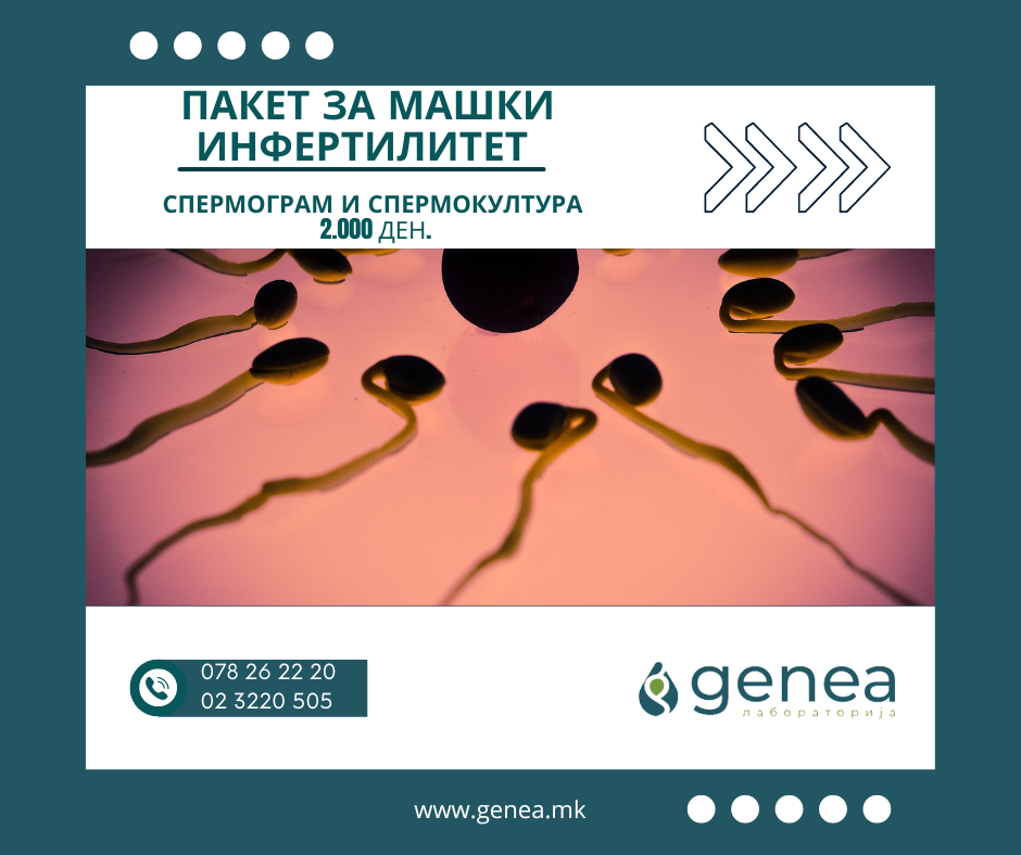 Мен интернеттен сперматозоидты таптым.