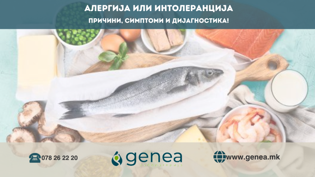 Интолеранција ВЕБ (2)