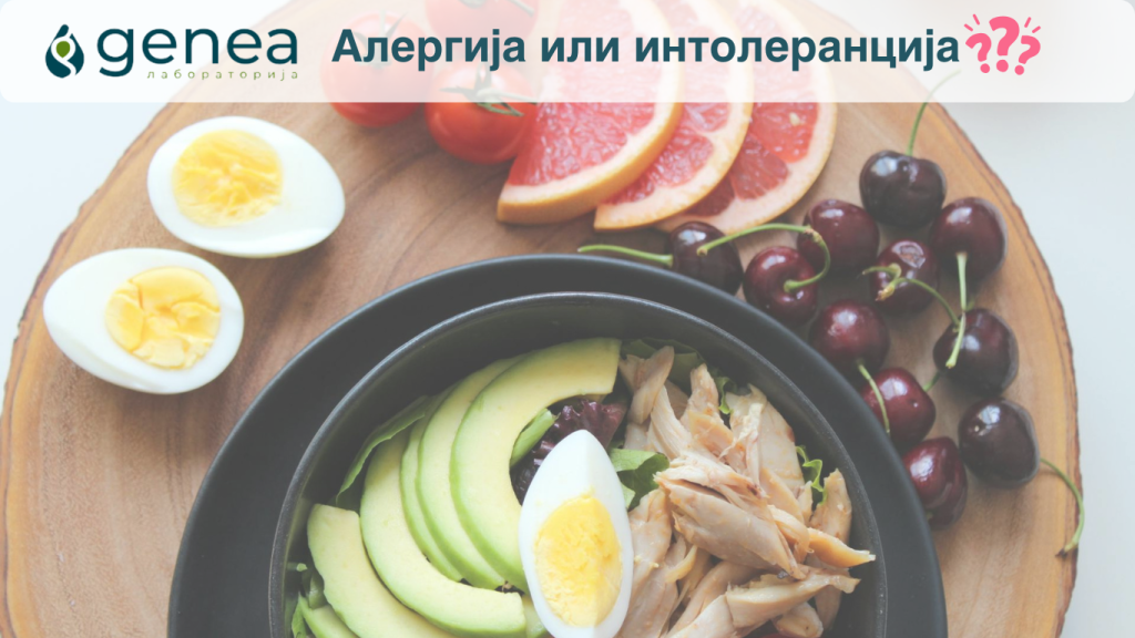 Интолеранција ВЕБ (1)